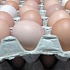 Какие блюда приготовить из яиц и как правильно их хранить?